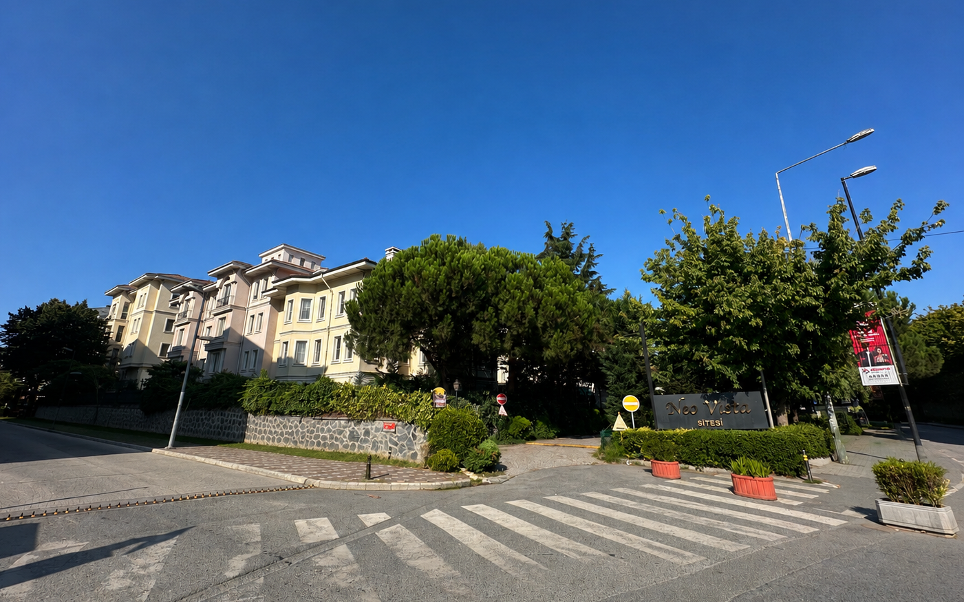 Neo Vista
